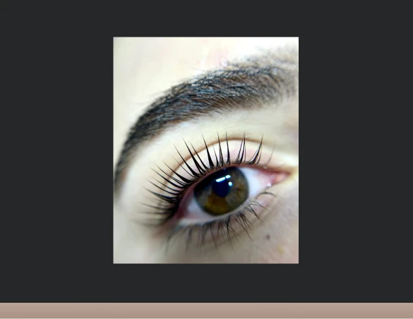 feedback_lash_lift_03