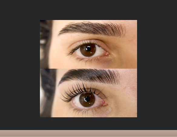 feedback_lash_lift_07